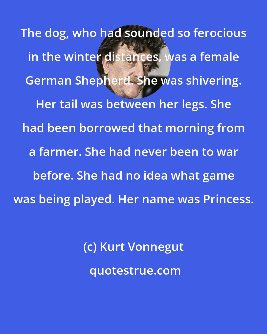 Kurt Vonnegut: The dog, who had sounded so ferocious in the winter distances, was a female German Shepherd. She was shivering. Her tail was between her legs. She had been borrowed that morning from a farmer. She had never been to war before. She had no idea what game was being played. Her name was Princess.