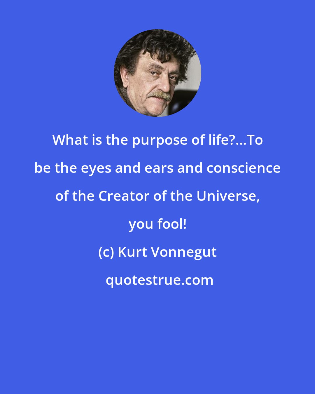 Kurt Vonnegut: What is the purpose of life?...To be the eyes and ears and conscience of the Creator of the Universe, you fool!