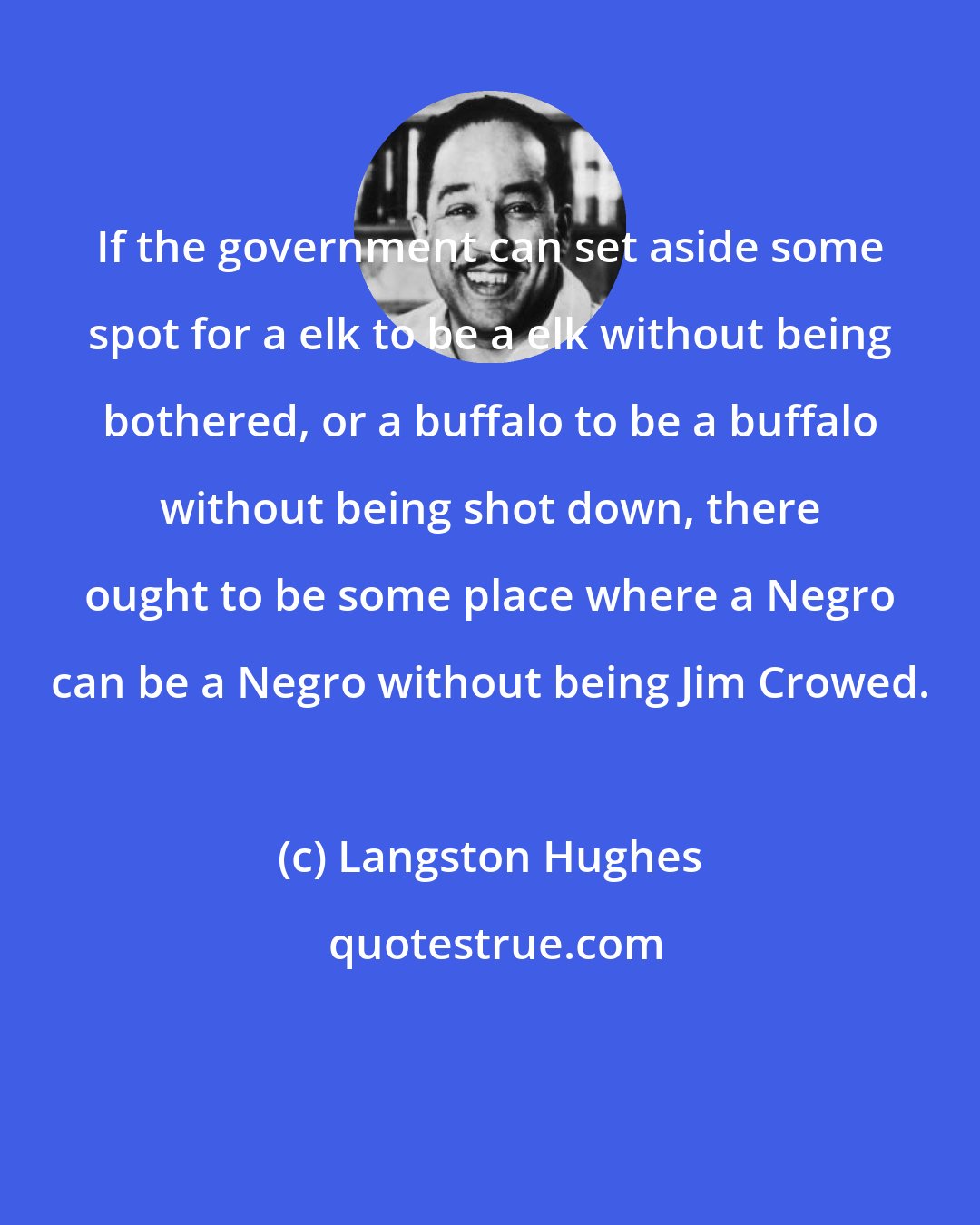 Langston Hughes: If the government can set aside some spot for a elk to be a elk without being bothered, or a buffalo to be a buffalo without being shot down, there ought to be some place where a Negro can be a Negro without being Jim Crowed.