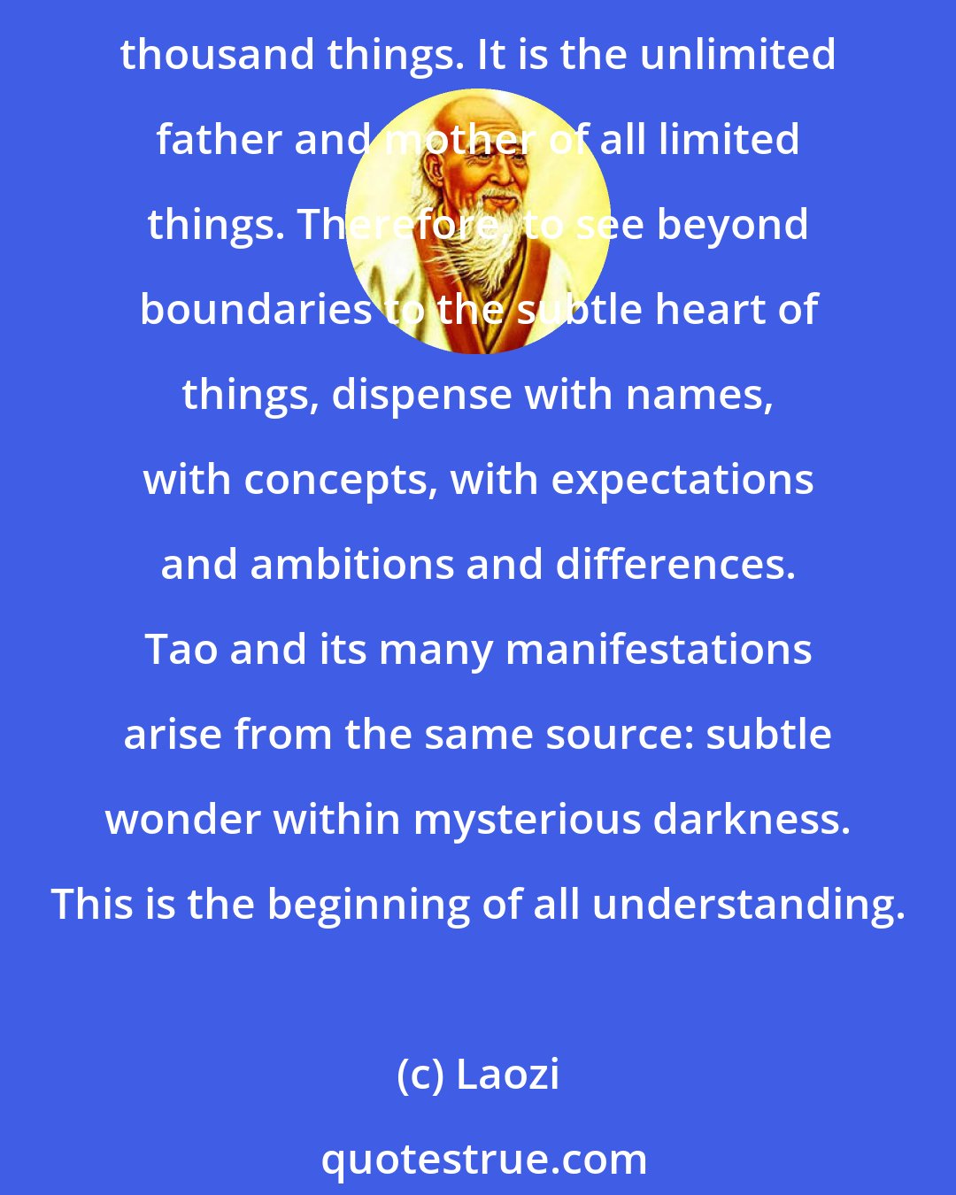 Laozi: Tao is beyond words and beyond understanding. Words may be used to speak of it, but they cannot contain it. Tao existed before words and names, before heaven and earth, before the ten thousand things. It is the unlimited father and mother of all limited things. Therefore, to see beyond boundaries to the subtle heart of things, dispense with names, with concepts, with expectations and ambitions and differences. Tao and its many manifestations arise from the same source: subtle wonder within mysterious darkness. This is the beginning of all understanding.