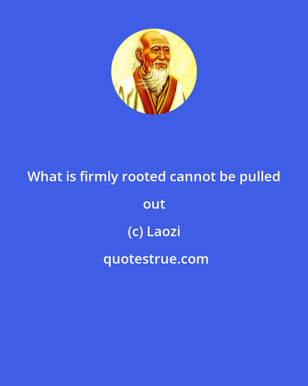 Laozi: What is firmly rooted cannot be pulled out