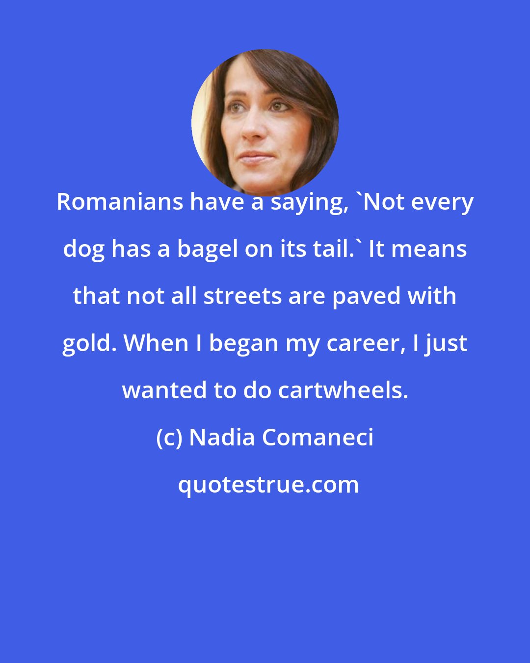 Nadia Comaneci: Romanians have a saying, 'Not every dog has a bagel on its tail.' It means that not all streets are paved with gold. When I began my career, I just wanted to do cartwheels.