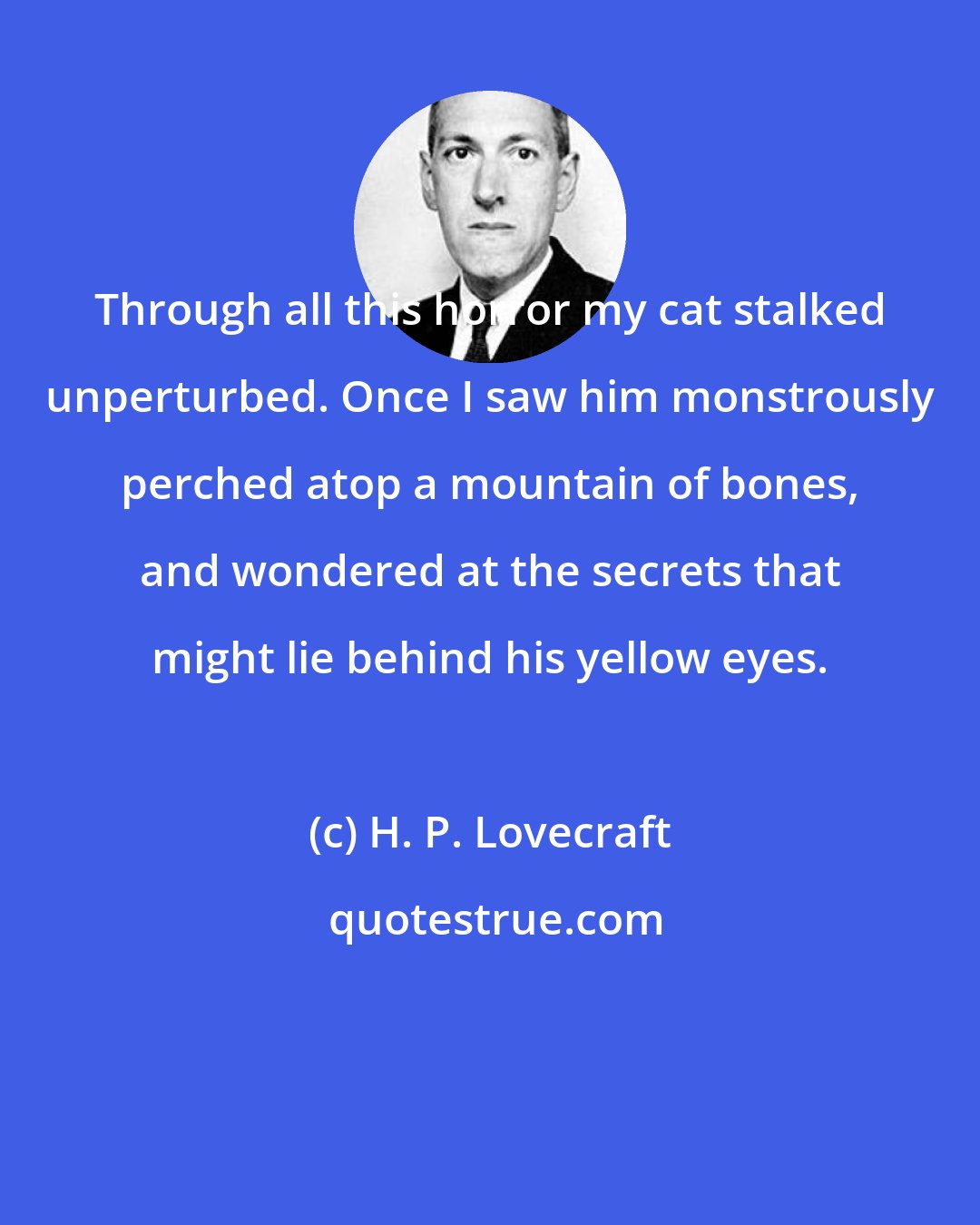 H. P. Lovecraft: Through all this horror my cat stalked unperturbed. Once I saw him monstrously perched atop a mountain of bones, and wondered at the secrets that might lie behind his yellow eyes.