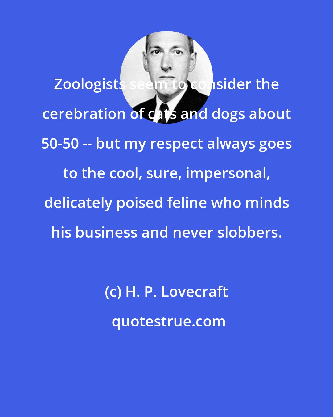 H. P. Lovecraft: Zoologists seem to consider the cerebration of cats and dogs about 50-50 -- but my respect always goes to the cool, sure, impersonal, delicately poised feline who minds his business and never slobbers.