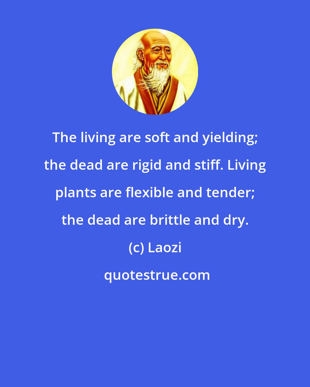 Laozi: The living are soft and yielding; the dead are rigid and stiff. Living plants are flexible and tender; the dead are brittle and dry.