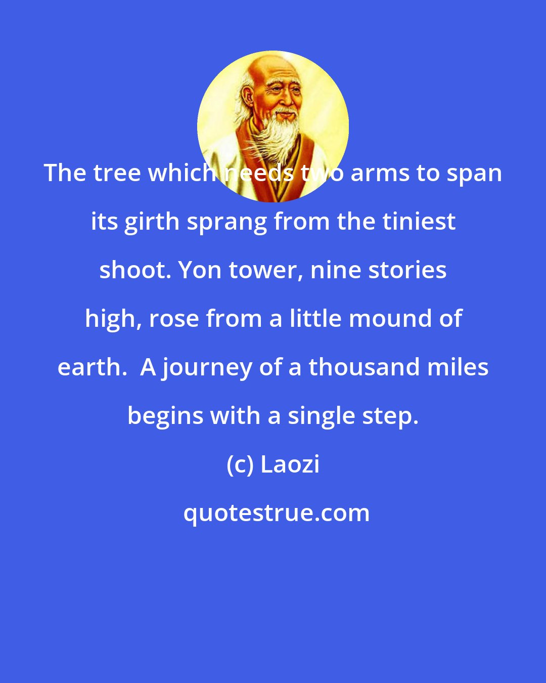 Laozi: The tree which needs two arms to span its girth sprang from the tiniest shoot. Yon tower, nine stories high, rose from a little mound of earth.  A journey of a thousand miles begins with a single step.