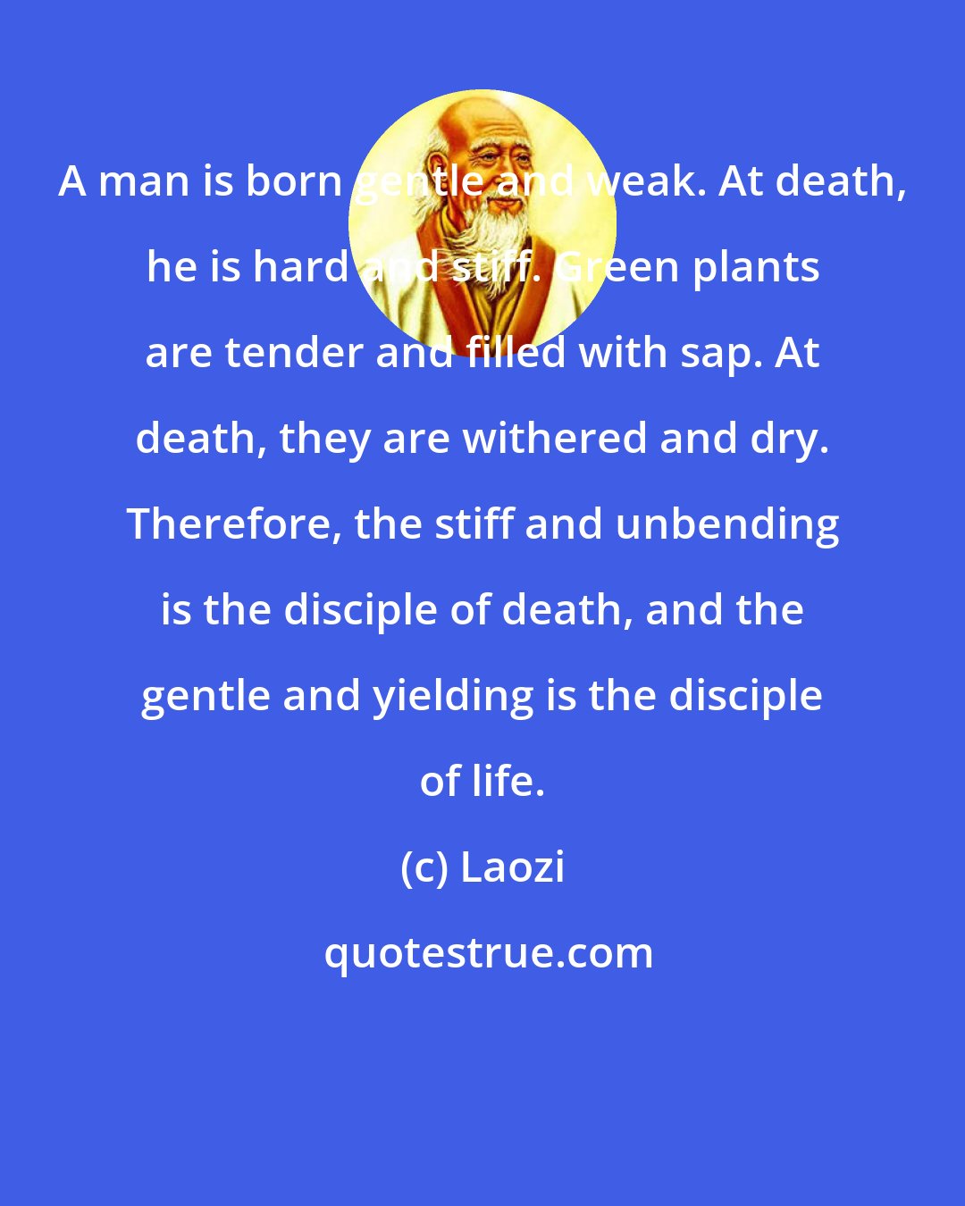 Laozi: A man is born gentle and weak. At death, he is hard and stiff. Green plants are tender and filled with sap. At death, they are withered and dry. Therefore, the stiff and unbending is the disciple of death, and the gentle and yielding is the disciple of life.