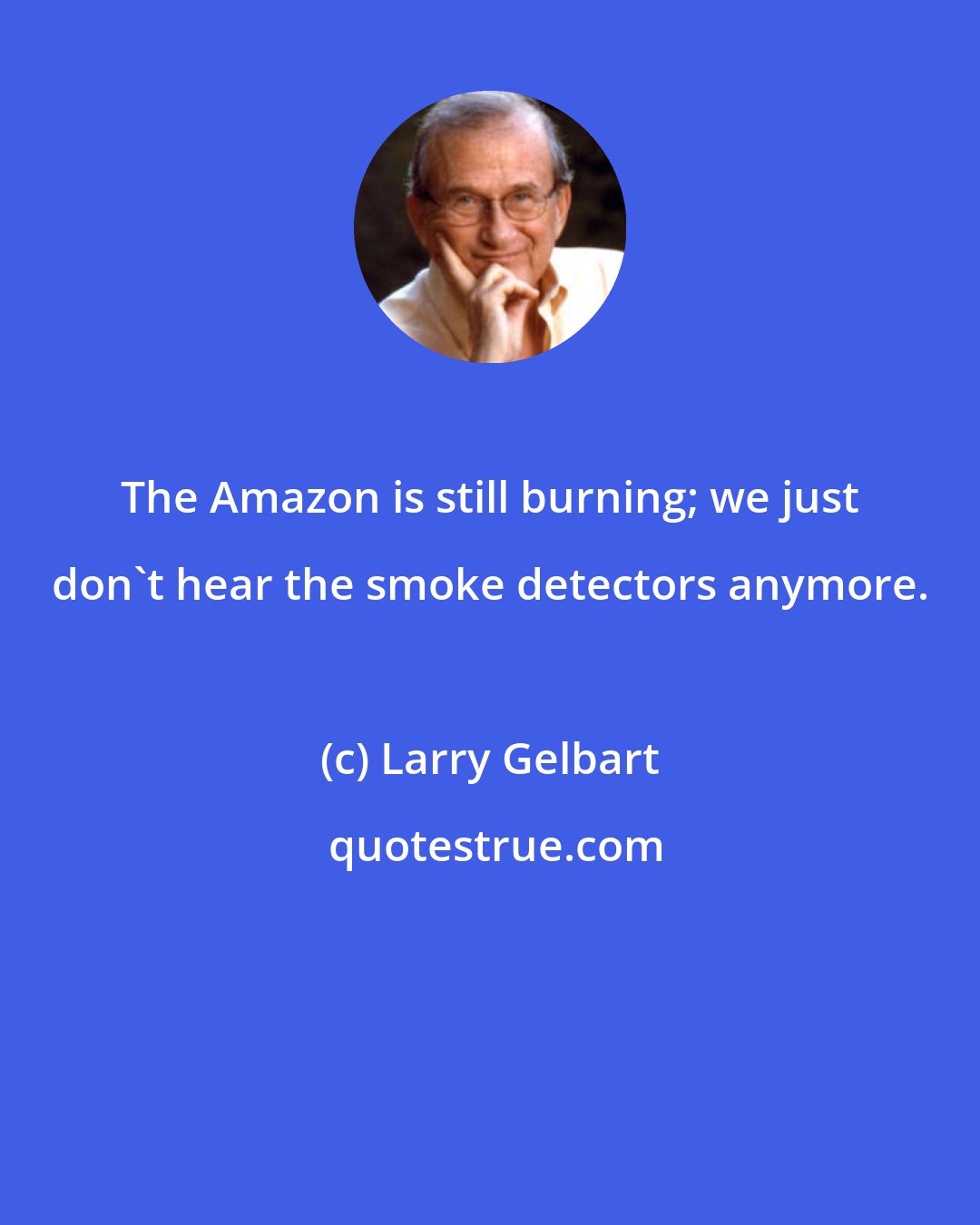 Larry Gelbart: The Amazon is still burning; we just don't hear the smoke detectors anymore.