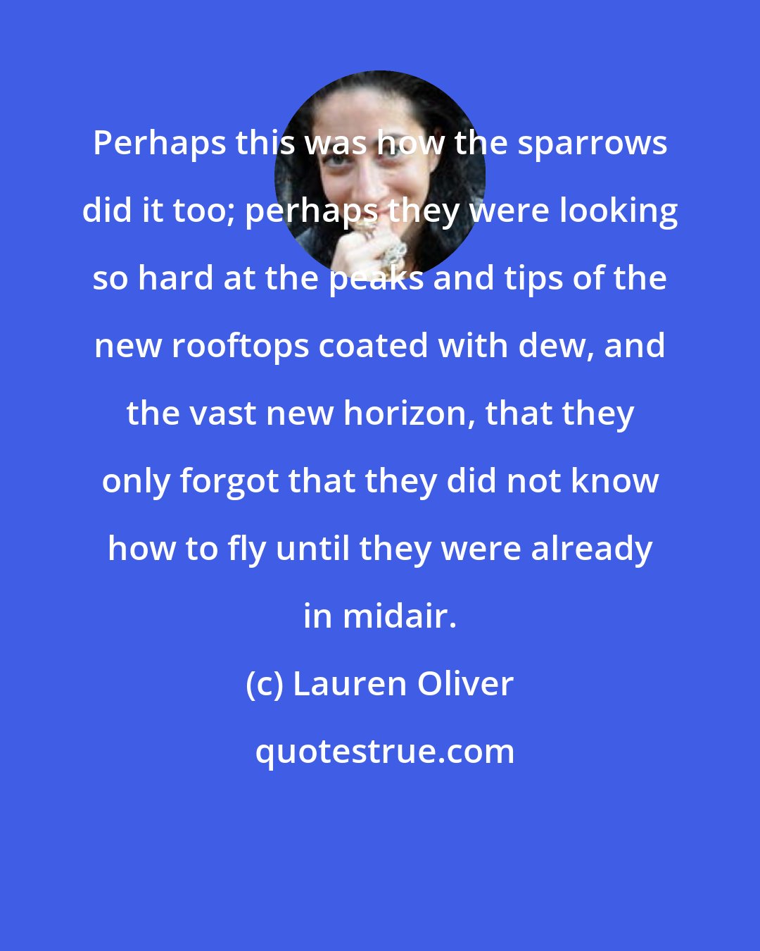 Lauren Oliver: Perhaps this was how the sparrows did it too; perhaps they were looking so hard at the peaks and tips of the new rooftops coated with dew, and the vast new horizon, that they only forgot that they did not know how to fly until they were already in midair.