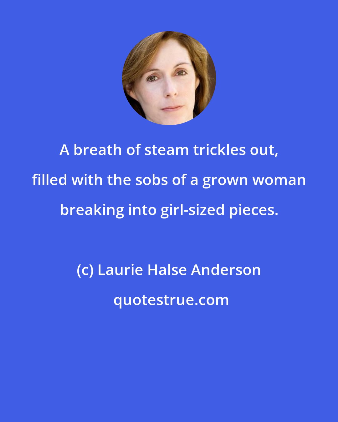 Laurie Halse Anderson: A breath of steam trickles out, filled with the sobs of a grown woman breaking into girl-sized pieces.