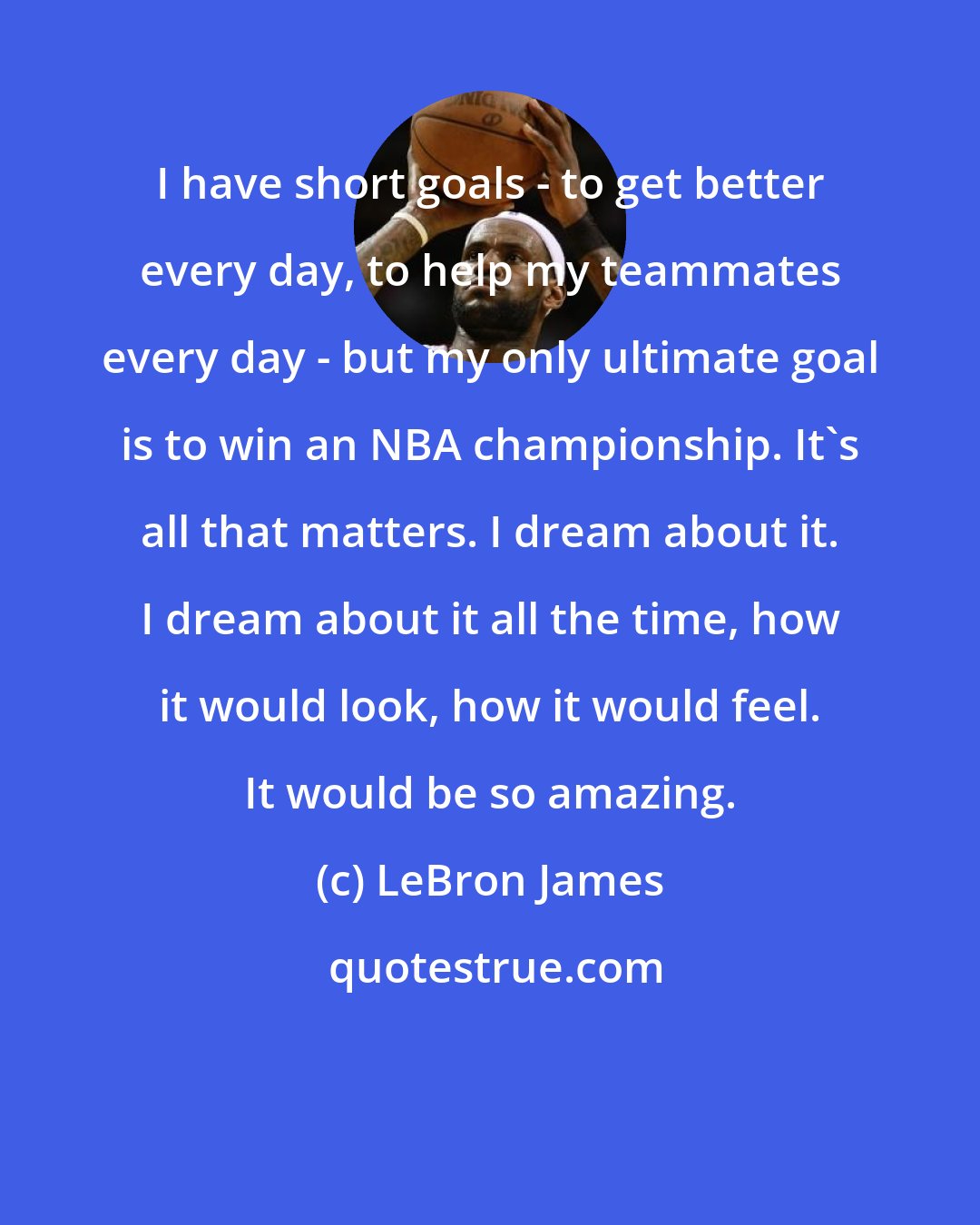 LeBron James: I have short goals - to get better every day, to help my teammates every day - but my only ultimate goal is to win an NBA championship. It's all that matters. I dream about it. I dream about it all the time, how it would look, how it would feel. It would be so amazing.