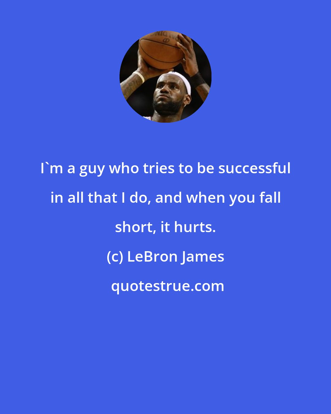 LeBron James: I'm a guy who tries to be successful in all that I do, and when you fall short, it hurts.