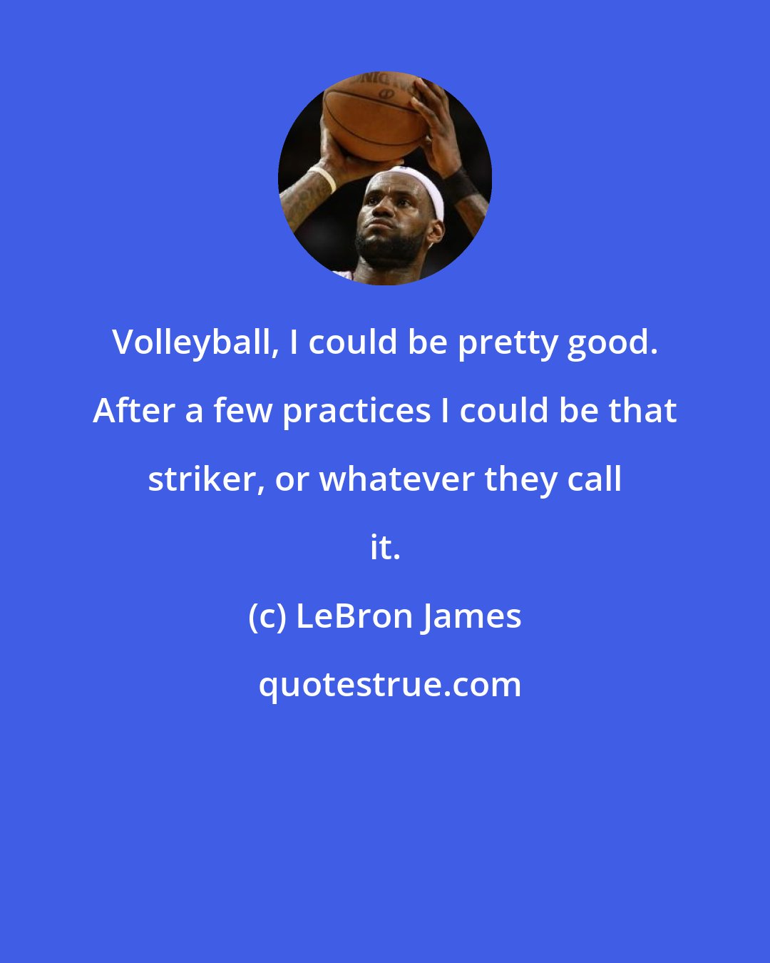 LeBron James: Volleyball, I could be pretty good. After a few practices I could be that striker, or whatever they call it.