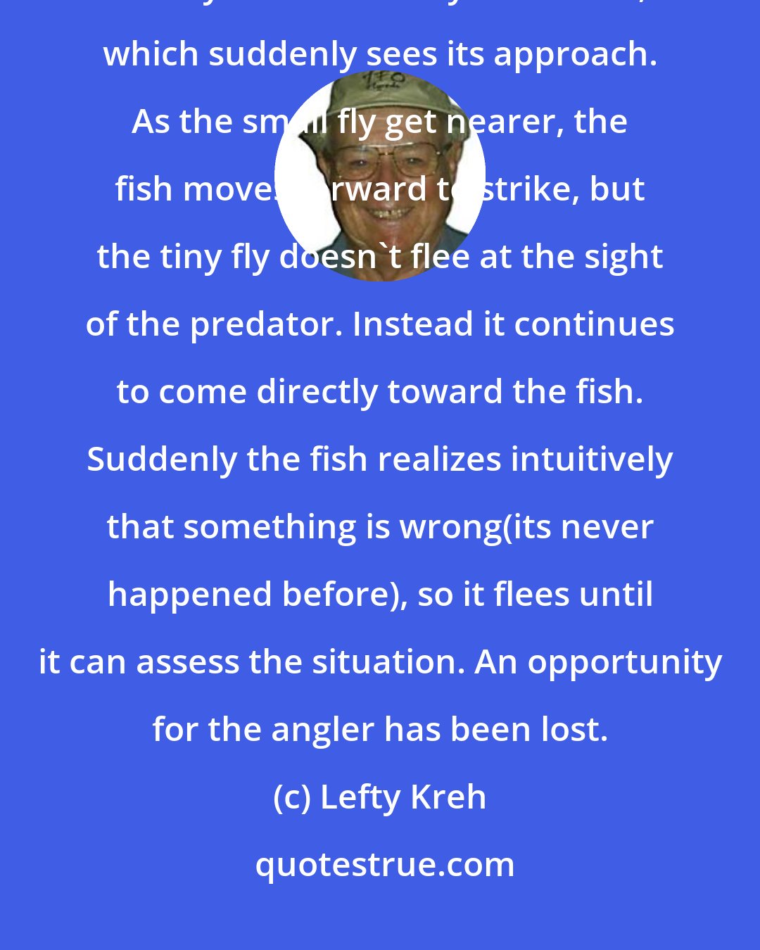 Lefty Kreh: Allowing the fly to sink to the fish's level, the angler makes a retrieve. The fly comes directly at the fish, which suddenly sees its approach. As the small fly get nearer, the fish moves forward to strike, but the tiny fly doesn't flee at the sight of the predator. Instead it continues to come directly toward the fish. Suddenly the fish realizes intuitively that something is wrong(its never happened before), so it flees until it can assess the situation. An opportunity for the angler has been lost.