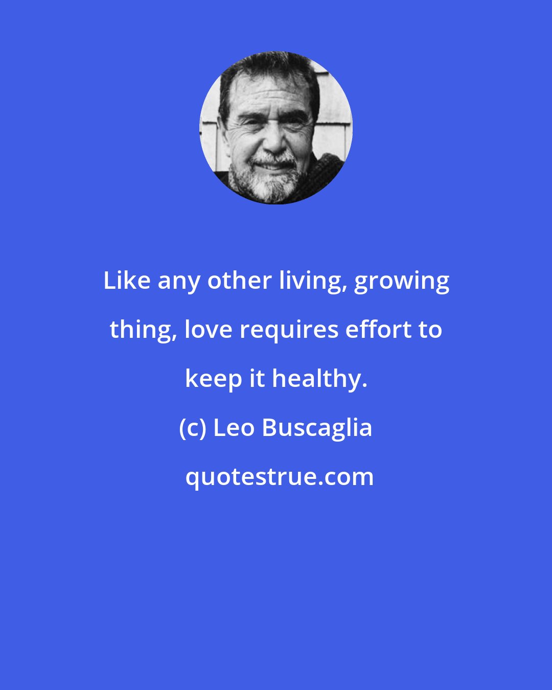 Leo Buscaglia: Like any other living, growing thing, love requires effort to keep it healthy.