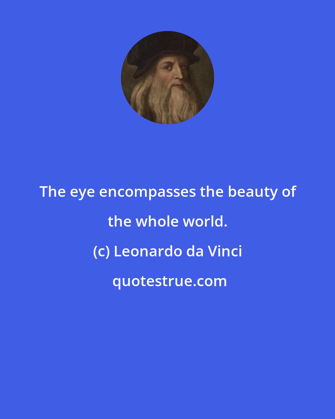 Leonardo da Vinci: The eye encompasses the beauty of the whole world.