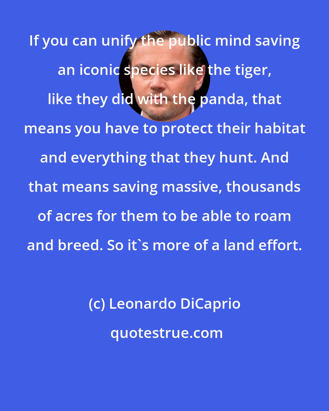 Leonardo DiCaprio: If you can unify the public mind saving an iconic species like the tiger, like they did with the panda, that means you have to protect their habitat and everything that they hunt. And that means saving massive, thousands of acres for them to be able to roam and breed. So it's more of a land effort.
