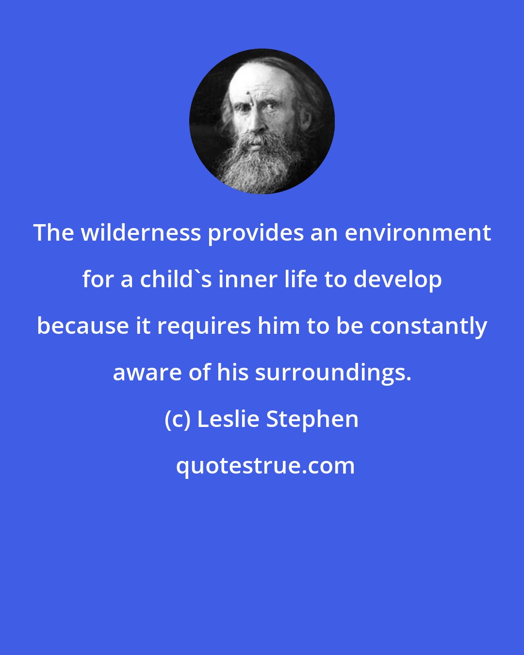 Leslie Stephen: The wilderness provides an environment for a child's inner life to develop because it requires him to be constantly aware of his surroundings.