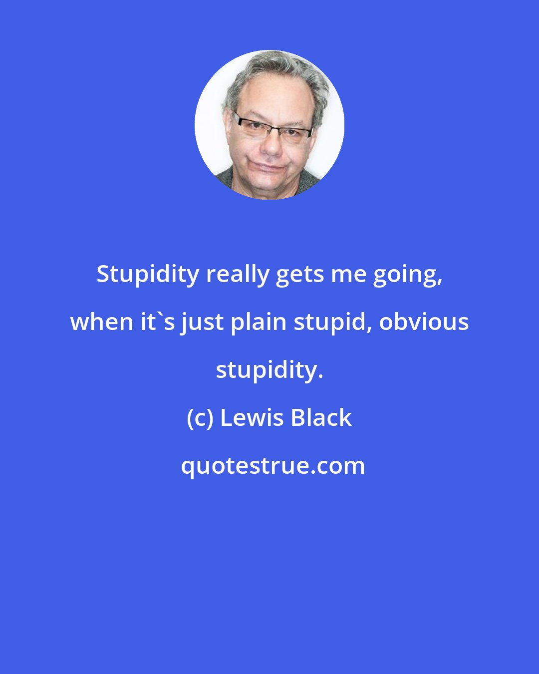 Lewis Black: Stupidity really gets me going, when it's just plain stupid, obvious stupidity.