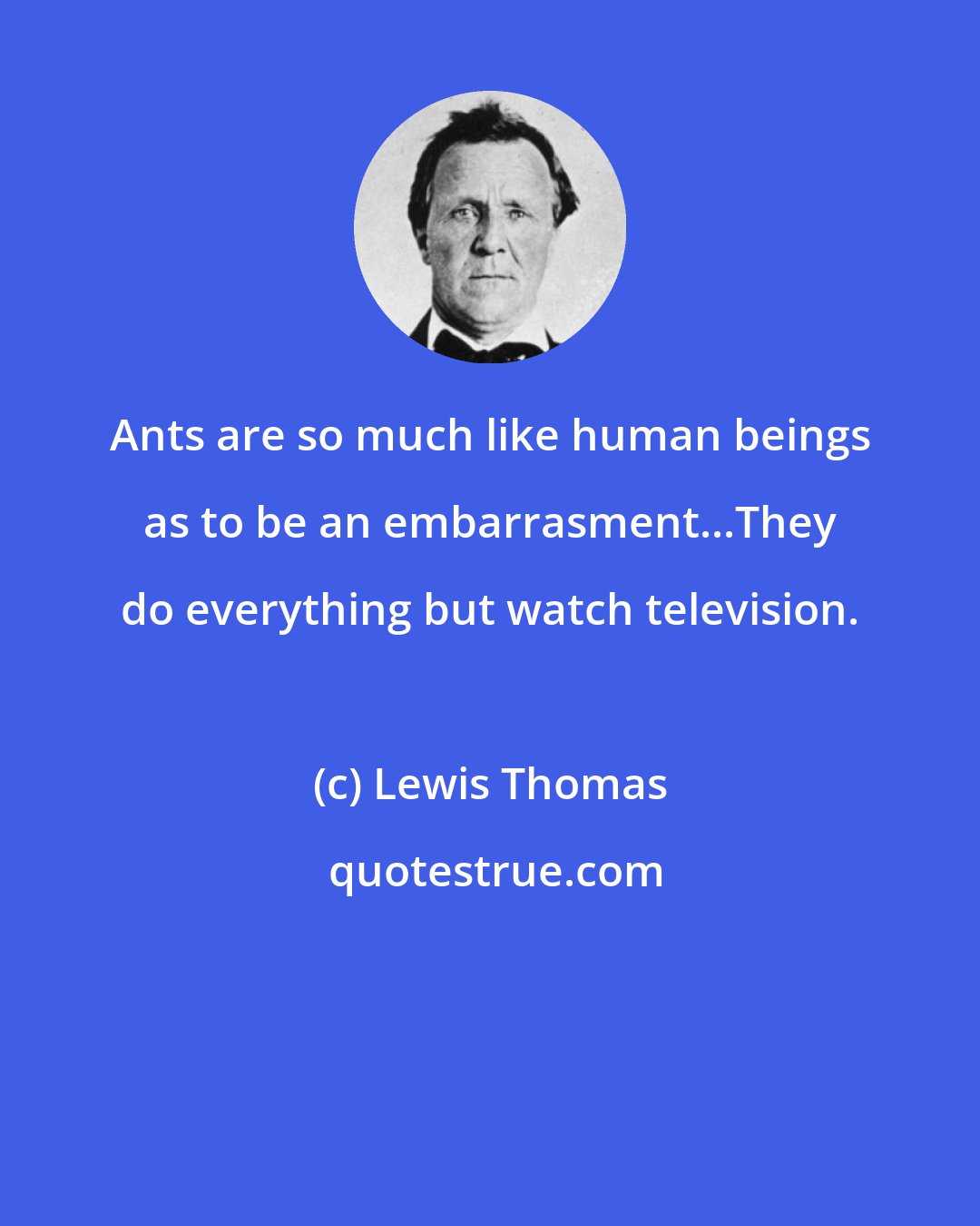 Lewis Thomas: Ants are so much like human beings as to be an embarrasment...They do everything but watch television.