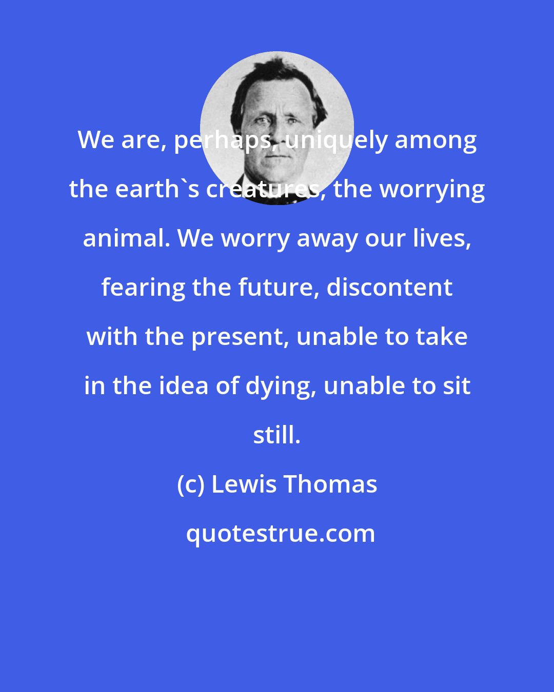 Lewis Thomas: We are, perhaps, uniquely among the earth's creatures, the worrying animal. We worry away our lives, fearing the future, discontent with the present, unable to take in the idea of dying, unable to sit still.