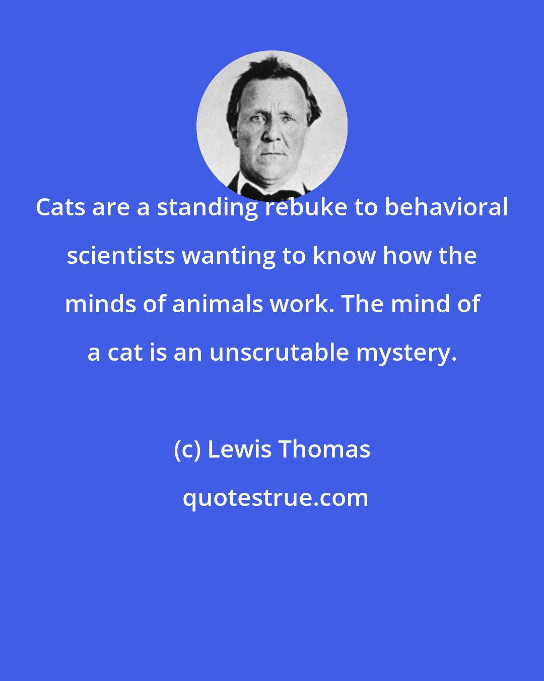 Lewis Thomas: Cats are a standing rebuke to behavioral scientists wanting to know how the minds of animals work. The mind of a cat is an unscrutable mystery.