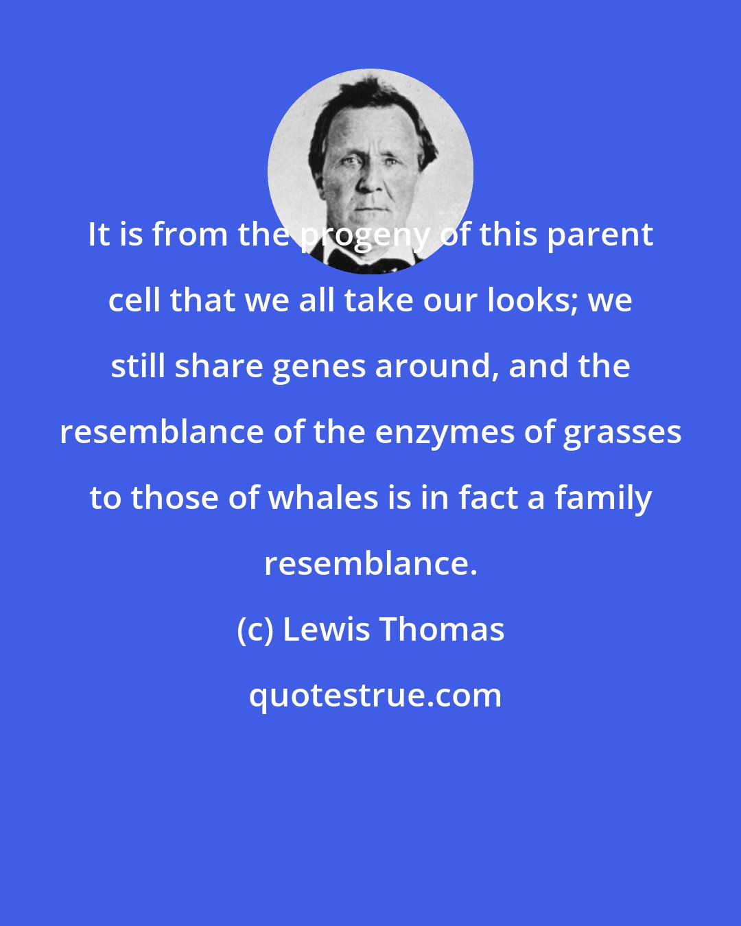 Lewis Thomas: It is from the progeny of this parent cell that we all take our looks; we still share genes around, and the resemblance of the enzymes of grasses to those of whales is in fact a family resemblance.