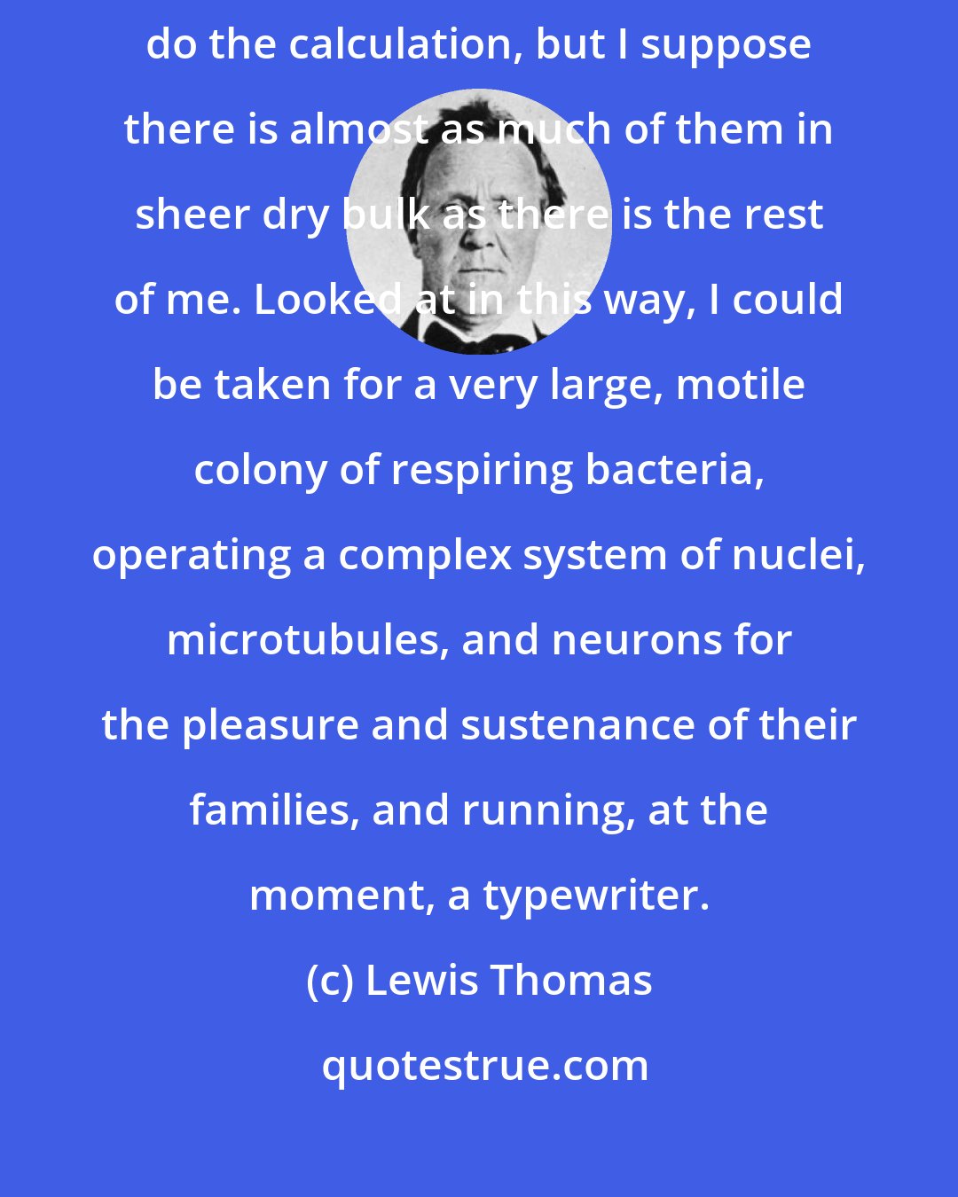 Lewis Thomas: My mitochondria comprise a very large proportion of me. I cannot do the calculation, but I suppose there is almost as much of them in sheer dry bulk as there is the rest of me. Looked at in this way, I could be taken for a very large, motile colony of respiring bacteria, operating a complex system of nuclei, microtubules, and neurons for the pleasure and sustenance of their families, and running, at the moment, a typewriter.