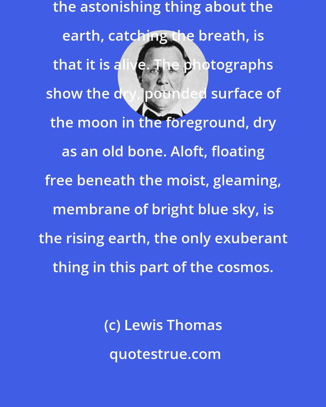 Lewis Thomas: Viewed from the distance of the moon, the astonishing thing about the earth, catching the breath, is that it is alive. The photographs show the dry, pounded surface of the moon in the foreground, dry as an old bone. Aloft, floating free beneath the moist, gleaming, membrane of bright blue sky, is the rising earth, the only exuberant thing in this part of the cosmos.