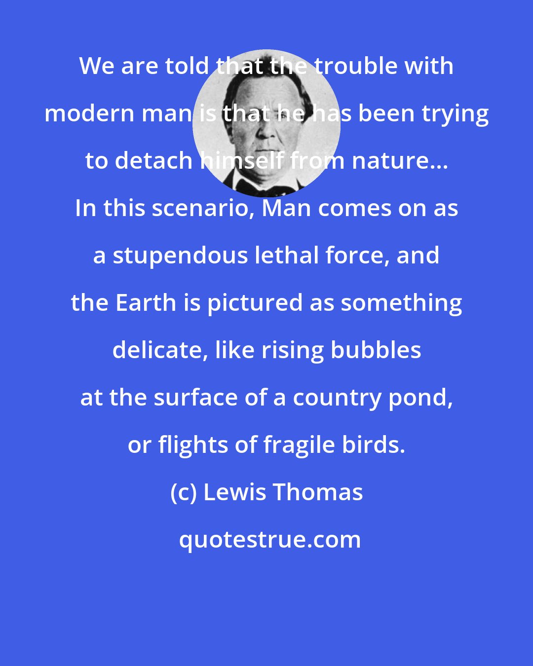 Lewis Thomas: We are told that the trouble with modern man is that he has been trying to detach himself from nature... In this scenario, Man comes on as a stupendous lethal force, and the Earth is pictured as something delicate, like rising bubbles at the surface of a country pond, or flights of fragile birds.