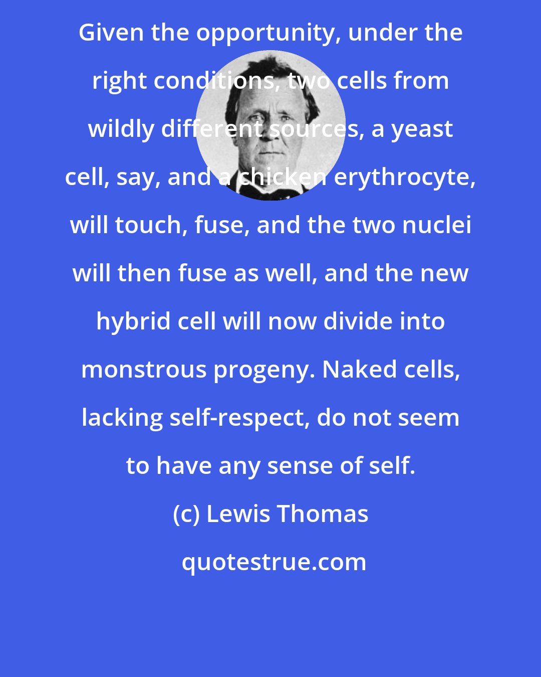 Lewis Thomas: Given the opportunity, under the right conditions, two cells from wildly different sources, a yeast cell, say, and a chicken erythrocyte, will touch, fuse, and the two nuclei will then fuse as well, and the new hybrid cell will now divide into monstrous progeny. Naked cells, lacking self-respect, do not seem to have any sense of self.