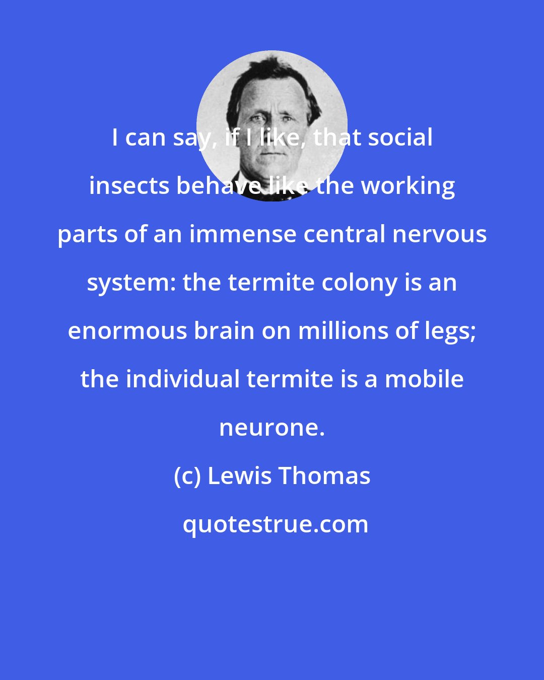 Lewis Thomas: I can say, if I like, that social insects behave like the working parts of an immense central nervous system: the termite colony is an enormous brain on millions of legs; the individual termite is a mobile neurone.