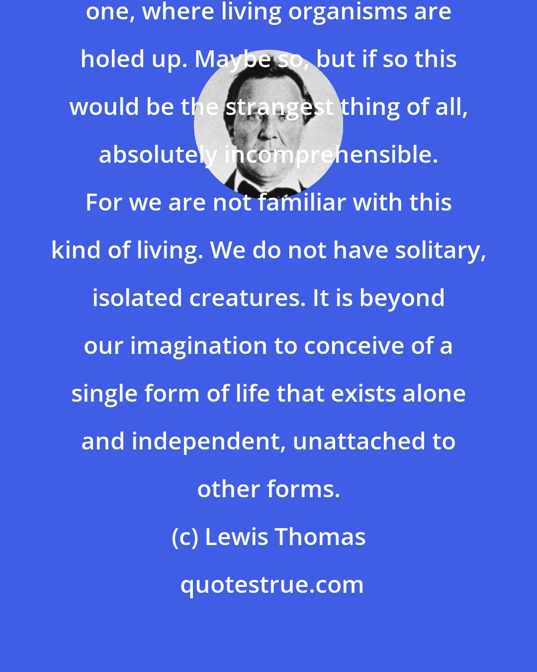 Lewis Thomas: Maybe there is a single spot, just one, where living organisms are holed up. Maybe so, but if so this would be the strangest thing of all, absolutely incomprehensible. For we are not familiar with this kind of living. We do not have solitary, isolated creatures. It is beyond our imagination to conceive of a single form of life that exists alone and independent, unattached to other forms.