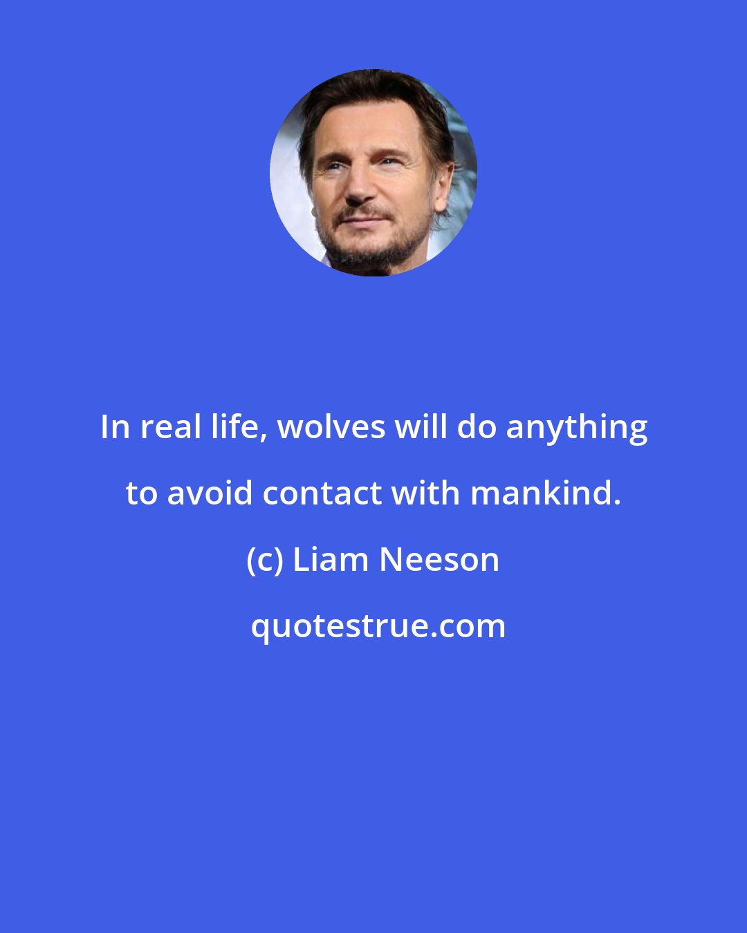 Liam Neeson: In real life, wolves will do anything to avoid contact with mankind.