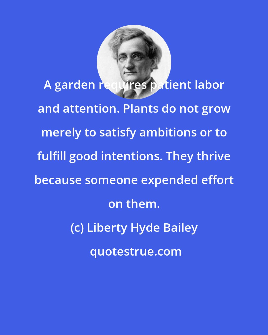 Liberty Hyde Bailey: A garden requires patient labor and attention. Plants do not grow merely to satisfy ambitions or to fulfill good intentions. They thrive because someone expended effort on them.