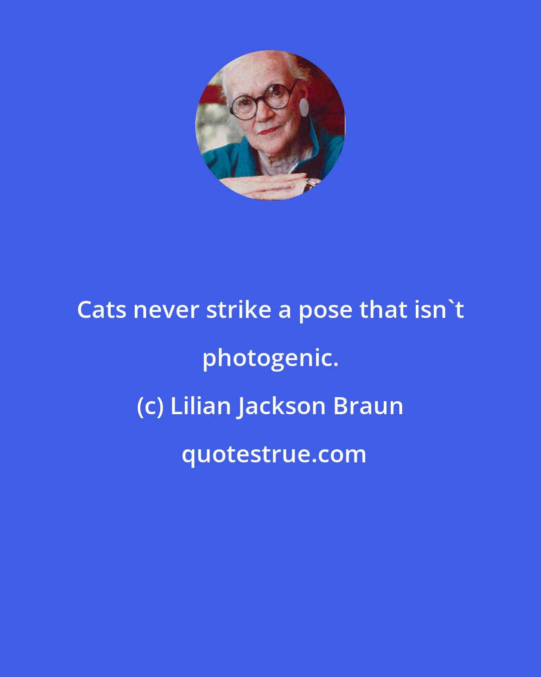 Lilian Jackson Braun: Cats never strike a pose that isn't photogenic.