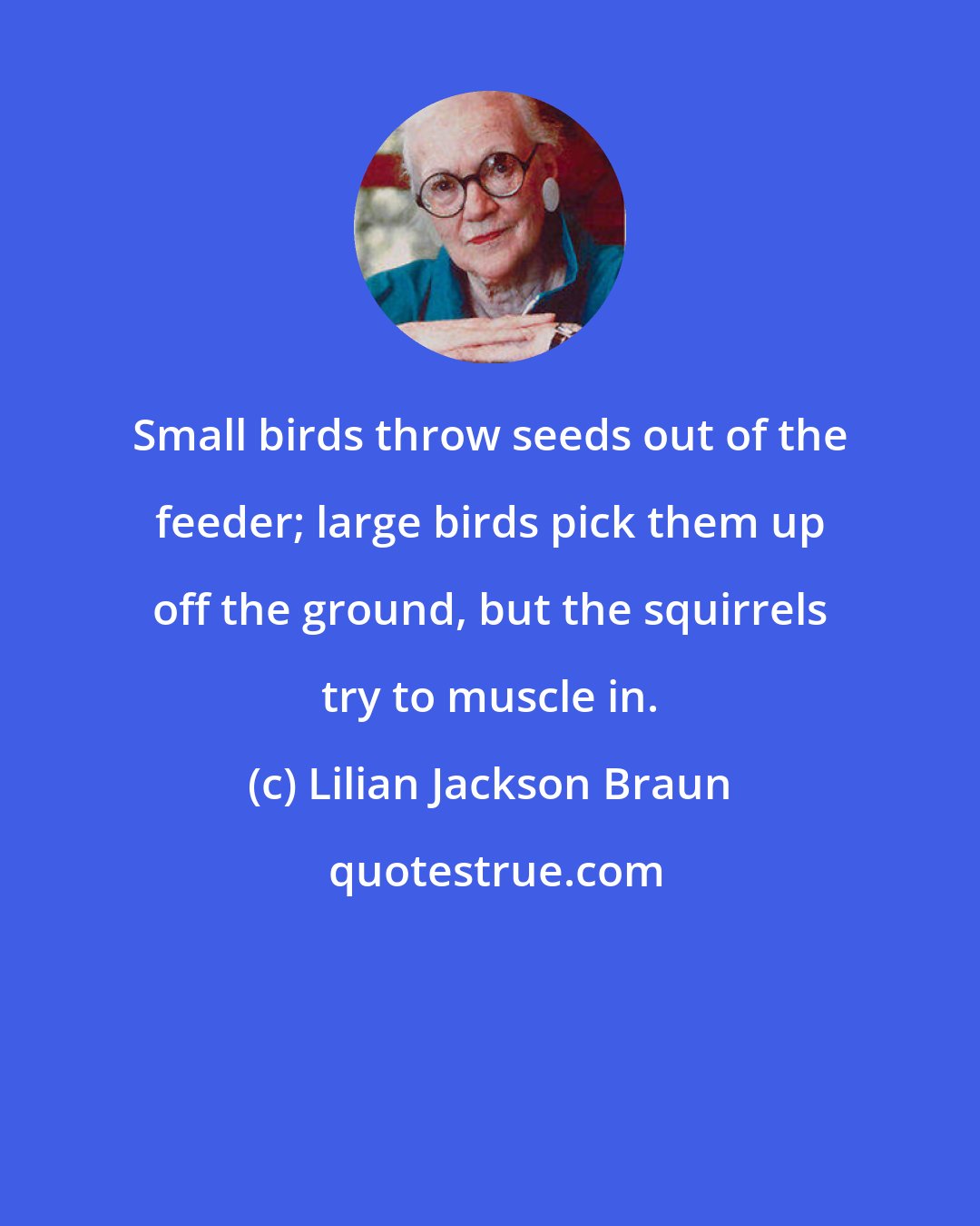Lilian Jackson Braun: Small birds throw seeds out of the feeder; large birds pick them up off the ground, but the squirrels try to muscle in.