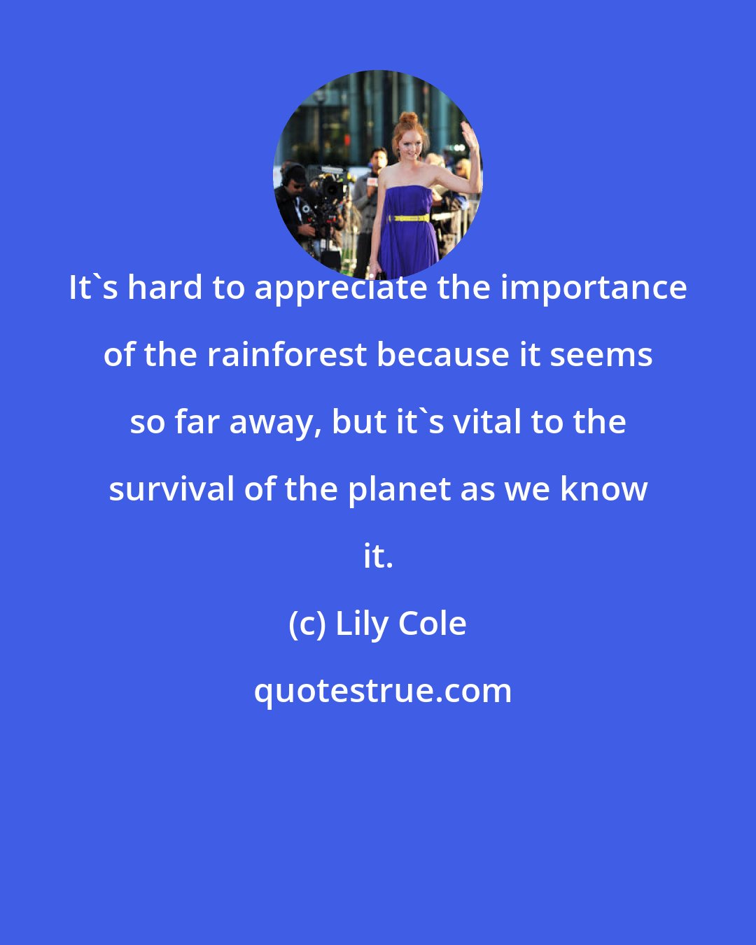 Lily Cole: It's hard to appreciate the importance of the rainforest because it seems so far away, but it's vital to the survival of the planet as we know it.