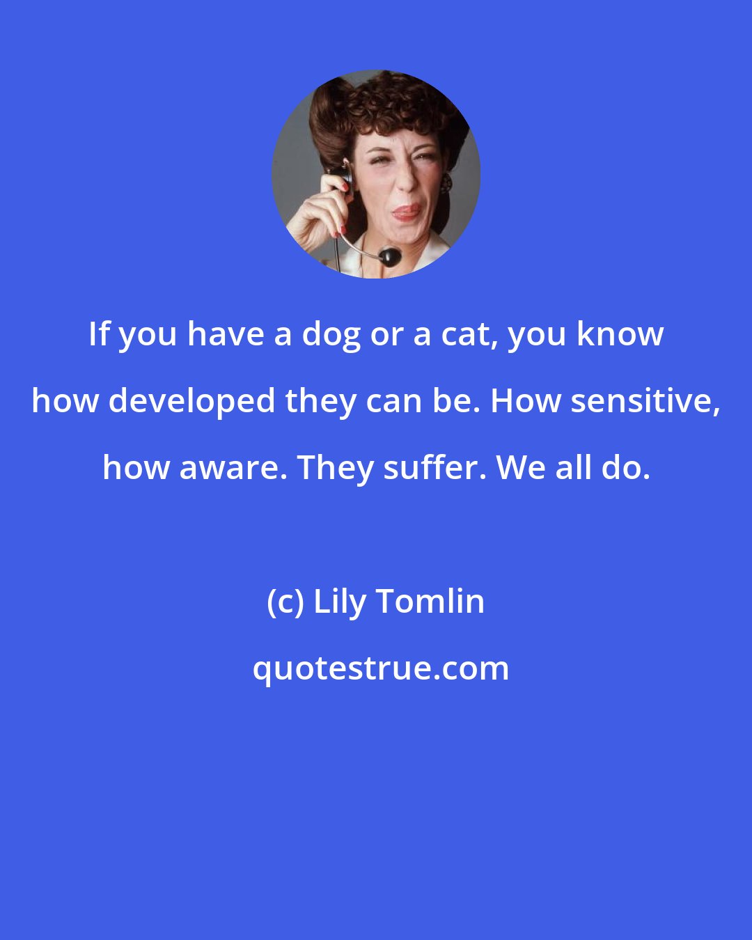 Lily Tomlin: If you have a dog or a cat, you know how developed they can be. How sensitive, how aware. They suffer. We all do.