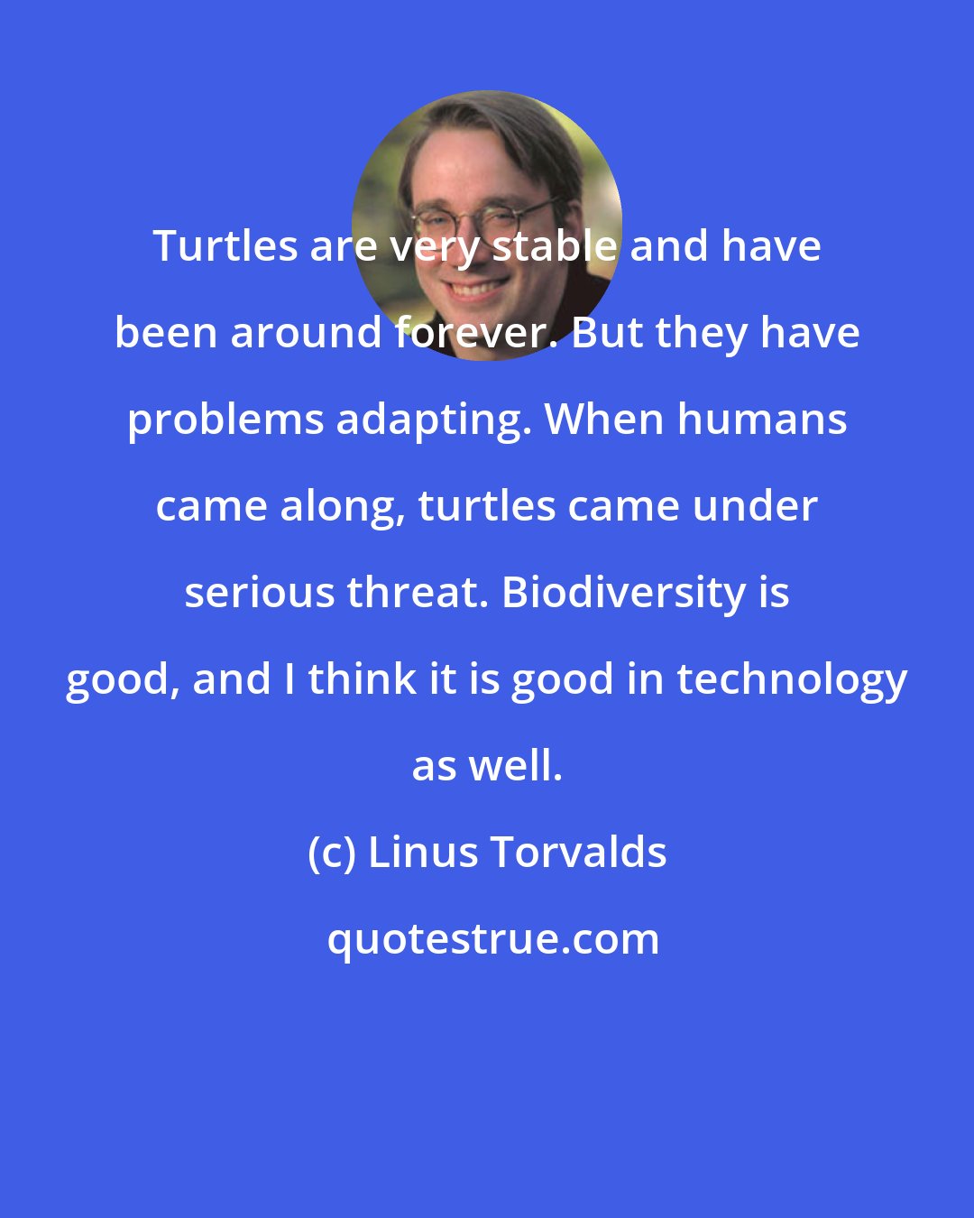 Linus Torvalds: Turtles are very stable and have been around forever. But they have problems adapting. When humans came along, turtles came under serious threat. Biodiversity is good, and I think it is good in technology as well.