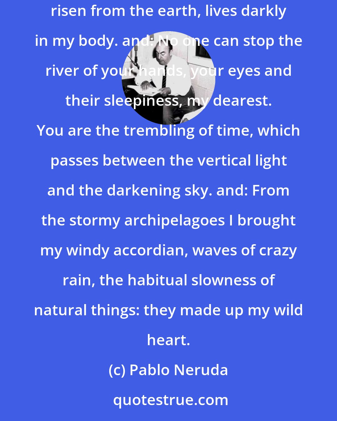 Pablo Neruda: I love you as the plant that never blooms but carries in itself the light of hidden flowers; thanks to your love a certain solid fragrence risen from the earth, lives darkly in my body. and: No one can stop the river of your hands, your eyes and their sleepiness, my dearest. You are the trembling of time, which passes between the vertical light and the darkening sky. and: From the stormy archipelagoes I brought my windy accordian, waves of crazy rain, the habitual slowness of natural things: they made up my wild heart.