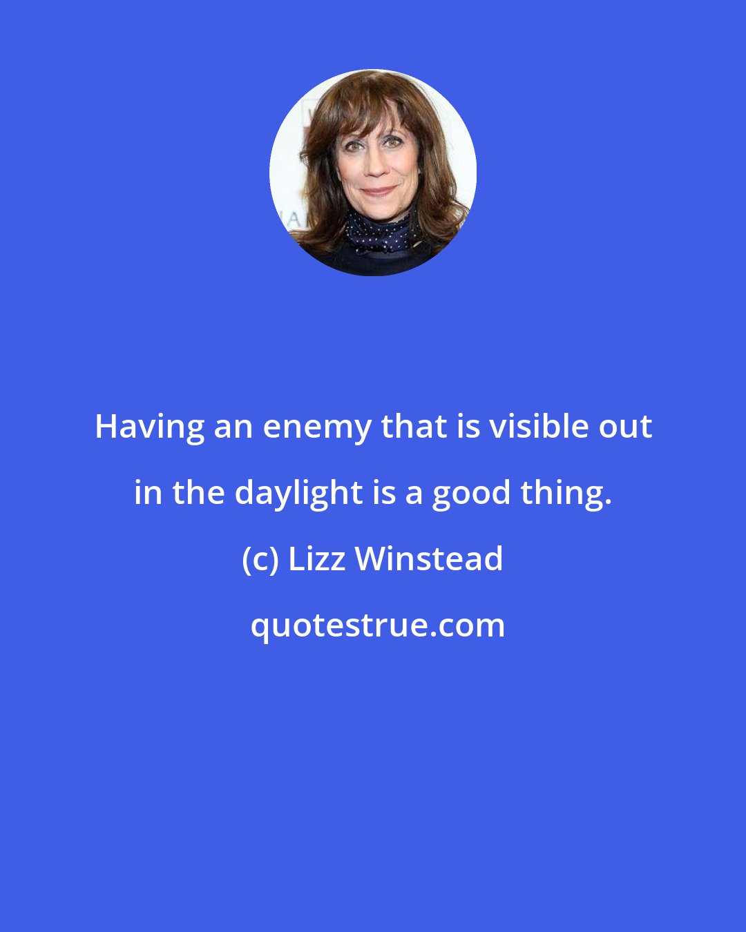 Lizz Winstead: Having an enemy that is visible out in the daylight is a good thing.