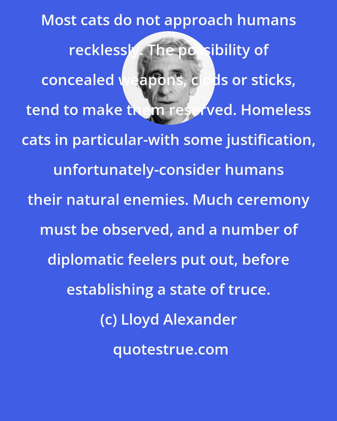 Lloyd Alexander: Most cats do not approach humans recklessly. The possibility of concealed weapons, clods or sticks, tend to make them reserved. Homeless cats in particular-with some justification, unfortunately-consider humans their natural enemies. Much ceremony must be observed, and a number of diplomatic feelers put out, before establishing a state of truce.