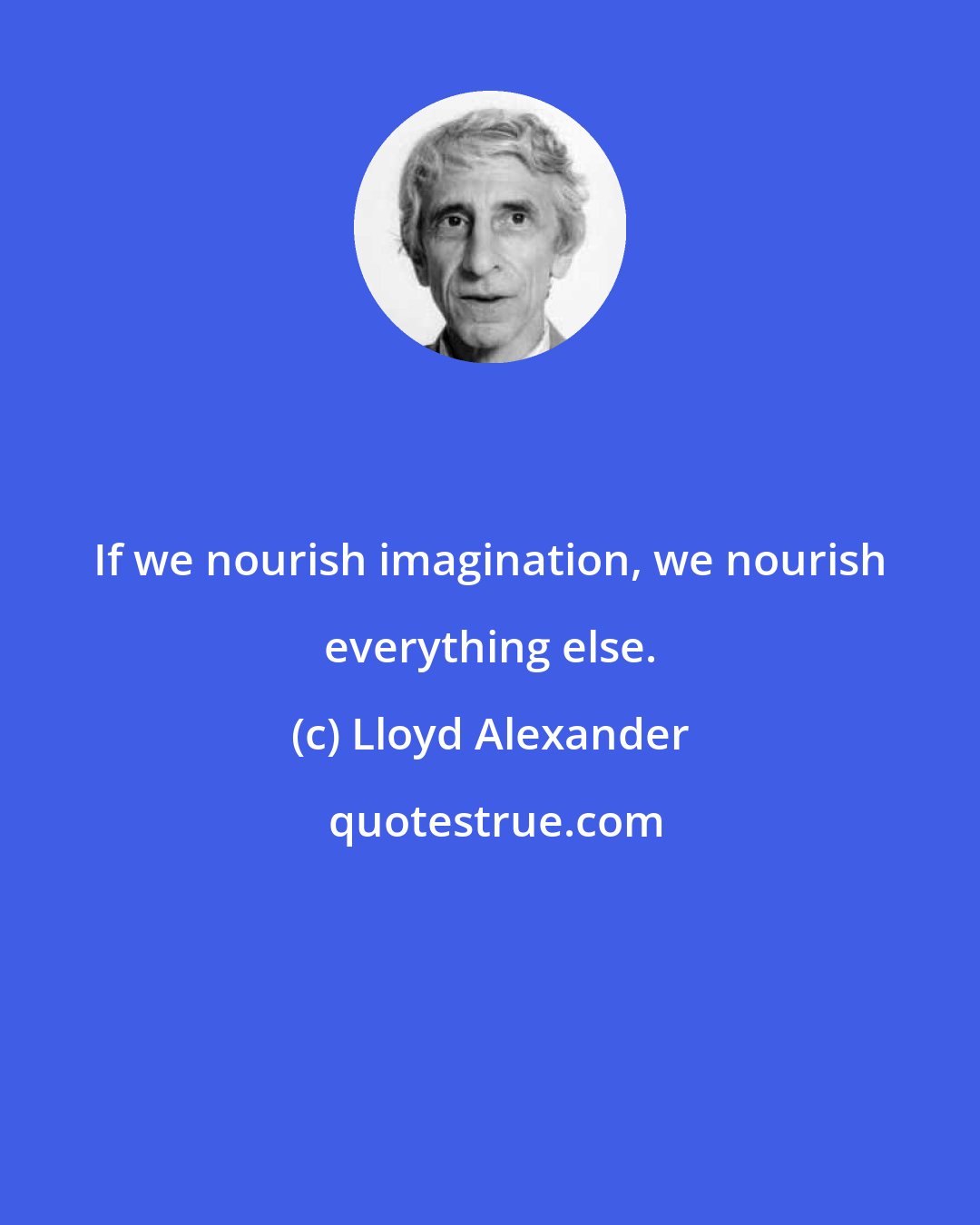 Lloyd Alexander: If we nourish imagination, we nourish everything else.