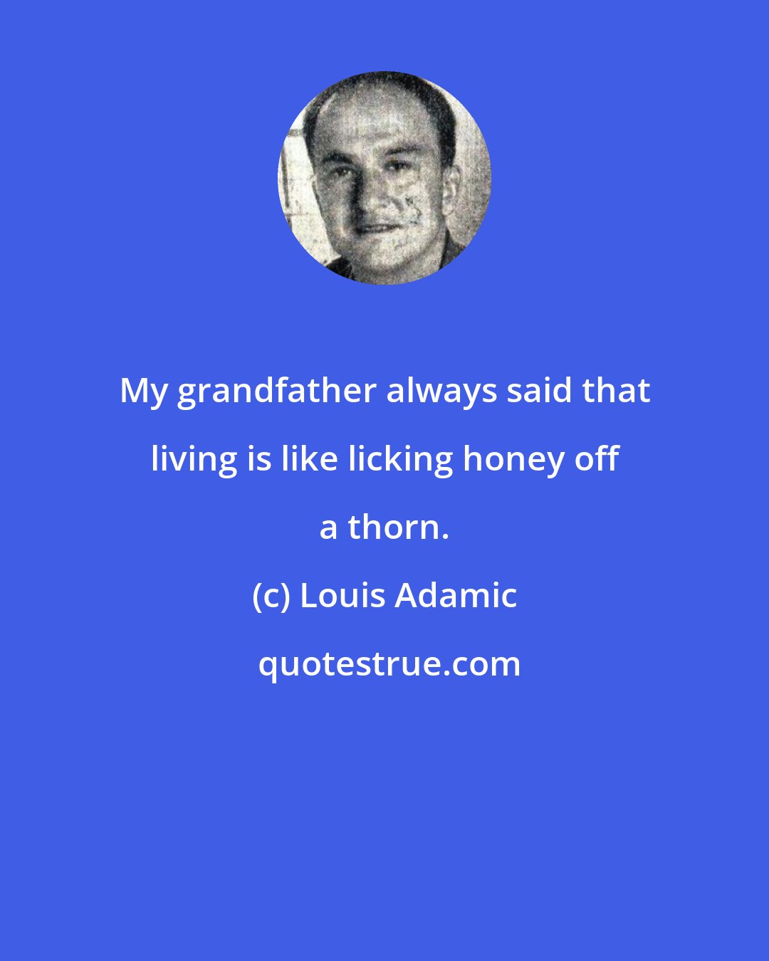 Louis Adamic: My grandfather always said that living is like licking honey off a thorn.