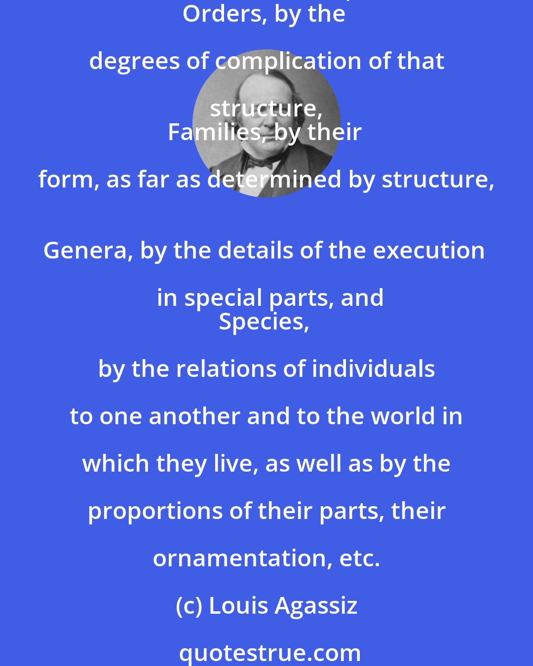 Louis Agassiz: Branches or types are characterized by the plan of their structure,
Classes, by the manner in which that plan is executed, as far as ways and means are concerned, 
Orders, by the degrees of complication of that structure, 
Families, by their form, as far as determined by structure, 
Genera, by the details of the execution in special parts, and
Species, by the relations of individuals to one another and to the world in which they live, as well as by the proportions of their parts, their ornamentation, etc.