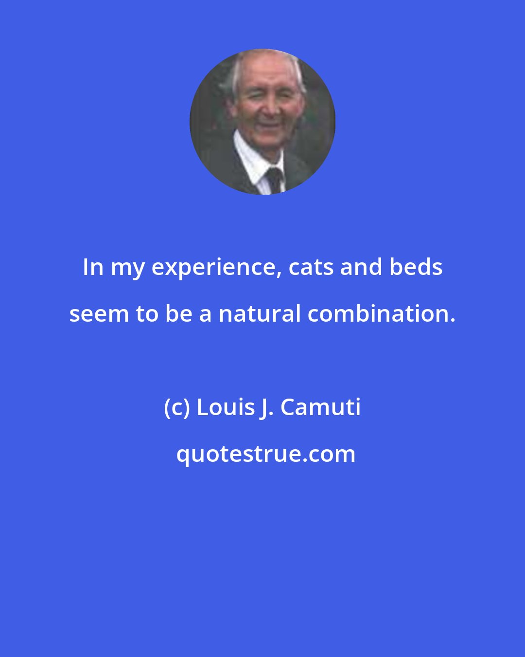 Louis J. Camuti: In my experience, cats and beds seem to be a natural combination.