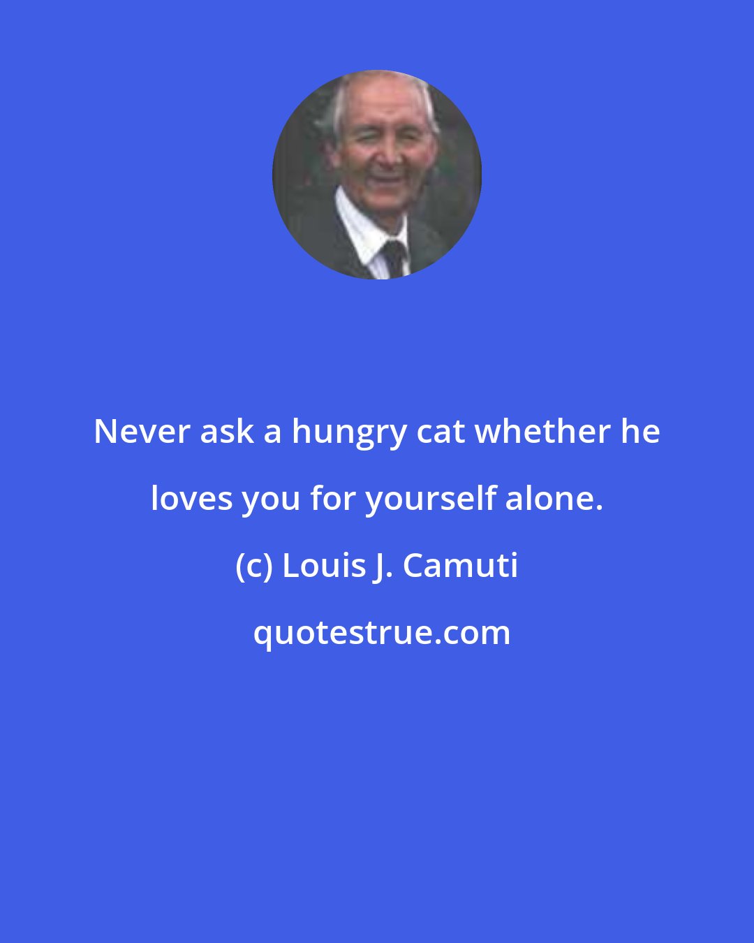 Louis J. Camuti: Never ask a hungry cat whether he loves you for yourself alone.
