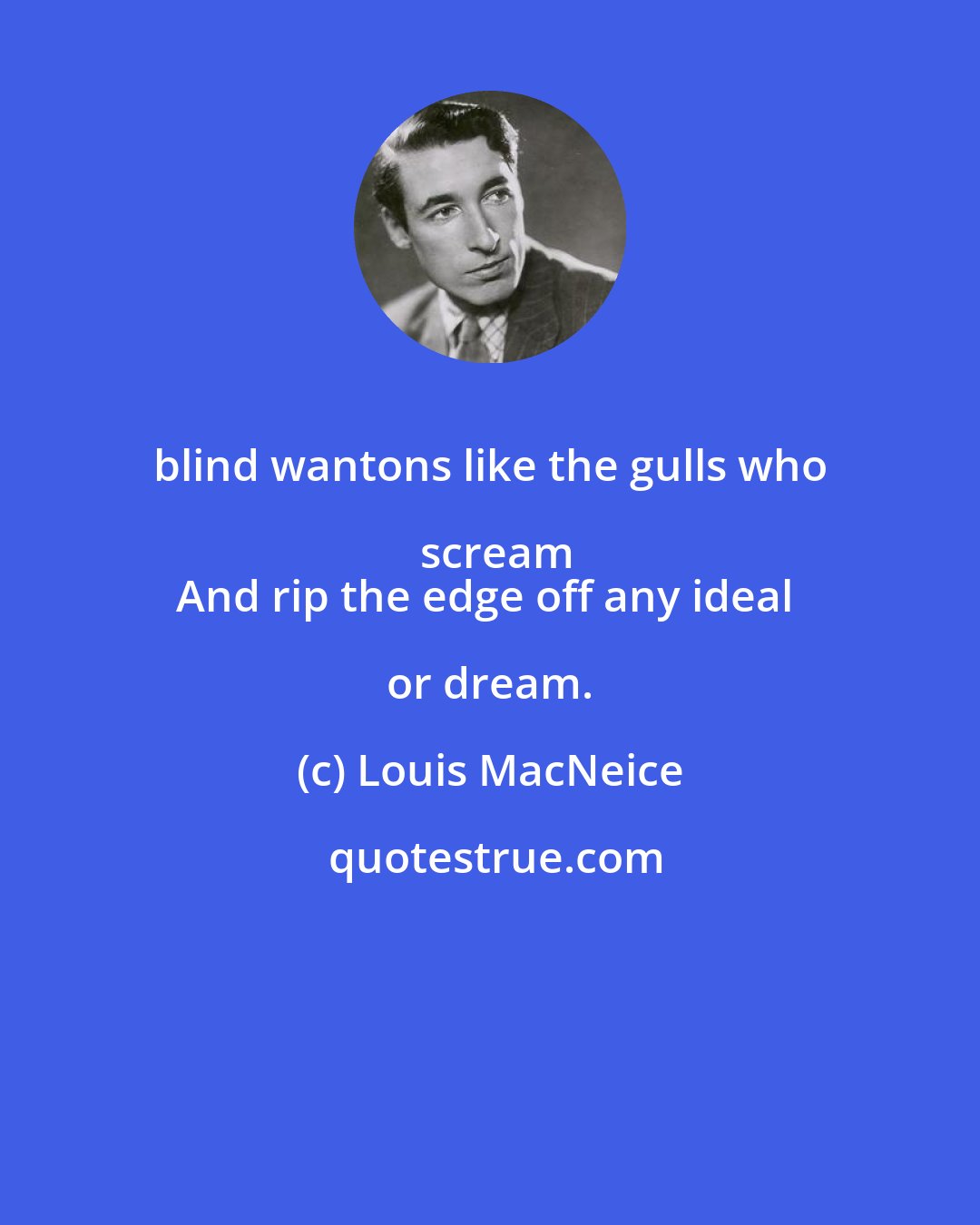 Louis MacNeice: blind wantons like the gulls who scream
And rip the edge off any ideal or dream.