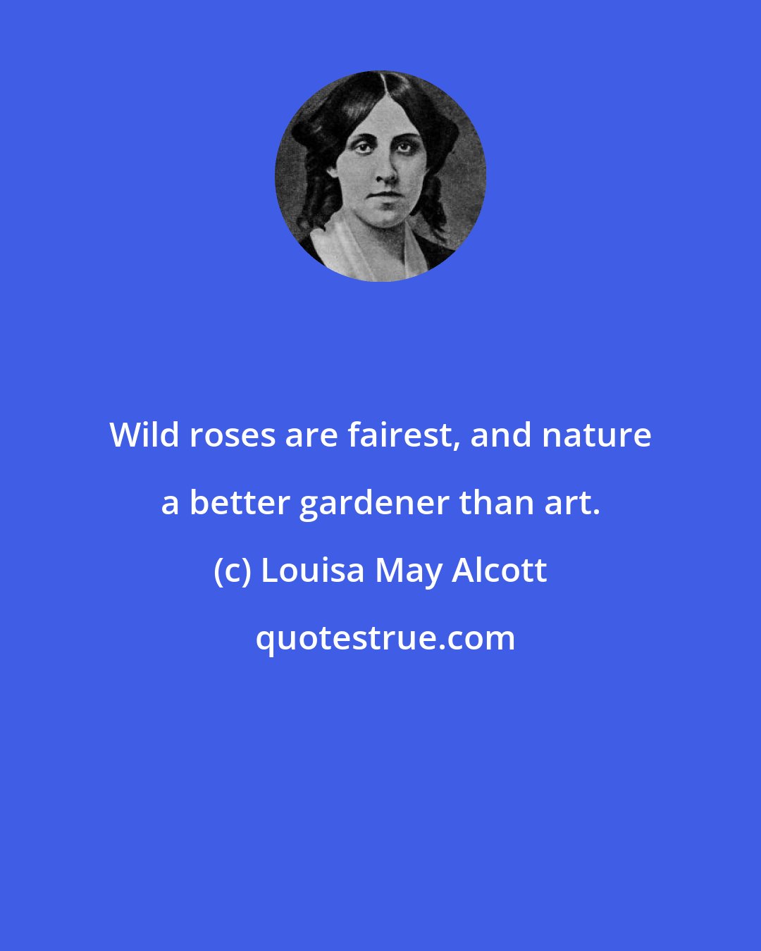 Louisa May Alcott: Wild roses are fairest, and nature a better gardener than art.